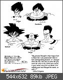 Faszination Dragonball