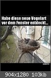 Lustige, schöne, traurige... gefühlsausdrückende Bilder/Gifs