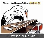 Lustige, schöne, traurige... gefühlsausdrückende Bilder/Gifs