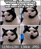 Lustige, schöne, traurige... gefühlsausdrückende Bilder/Gifs