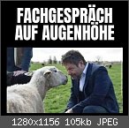 Lustige, schöne, traurige... gefühlsausdrückende Bilder/Gifs