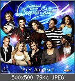 Deutschland sucht den Superstar 2008