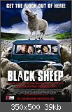 Black Sheep