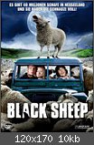 Black Sheep