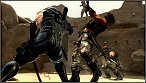 Ninja Gaiden 3