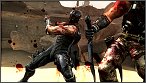 Ninja Gaiden 3