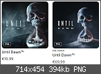 Until Dawn