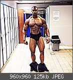 Der Bodybuilding- & Krafttraining-Thread