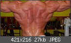 Der Bodybuilding- & Krafttraining-Thread