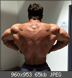 Der Bodybuilding- & Krafttraining-Thread