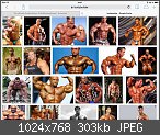 Der Bodybuilding- & Krafttraining-Thread