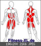 Der Bodybuilding- & Krafttraining-Thread