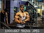 Der Bodybuilding- & Krafttraining-Thread