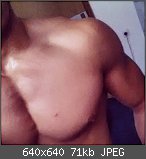 Der Bodybuilding- & Krafttraining-Thread